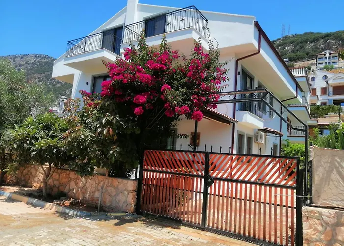 公寓 Olive 3 --- 卡斯