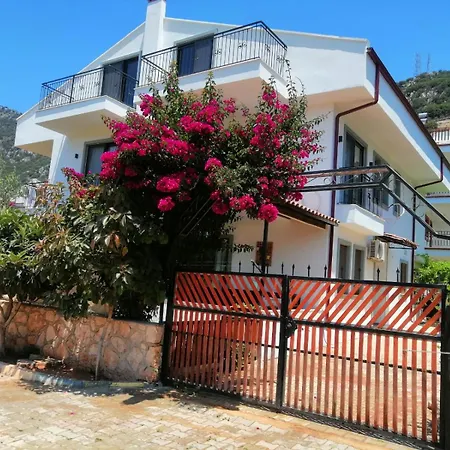 Апартаменты Olive 3 --- Каш